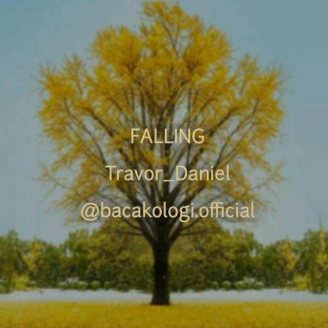 Lirik Lagu dan Terjemahan Falling - Travor Daniel